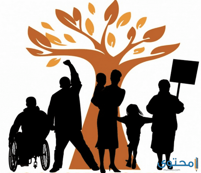 الفرق بين المؤسسة والجمعية الخيرية