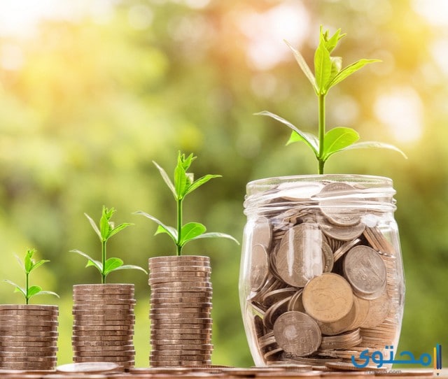 الفرق بين المنظمات الربحية وغير الربحية