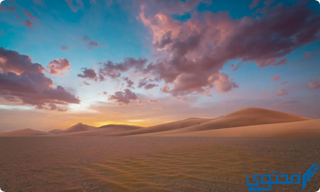 الفهيقي وش يرجعون