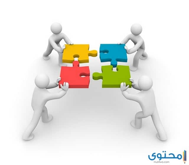 القيادة في المؤسسات الربحية