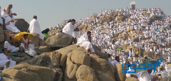 اللهم بلغنا يوم عرفة بلاغ توفيق وتقبل منا صيامه