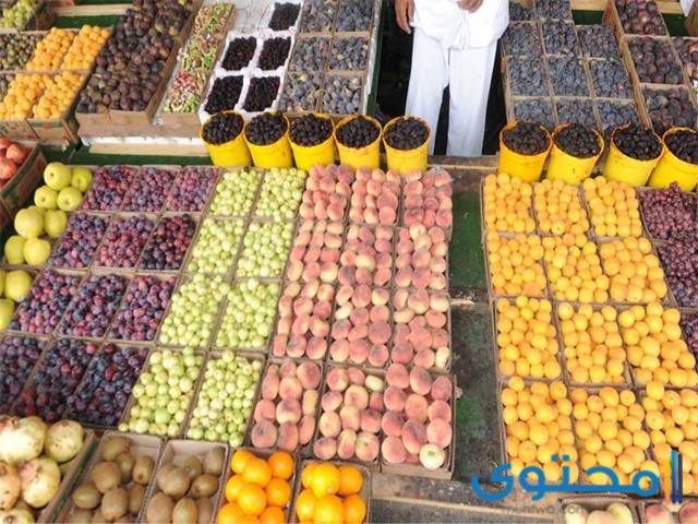 المحاصيل الزراعية بالقصيم