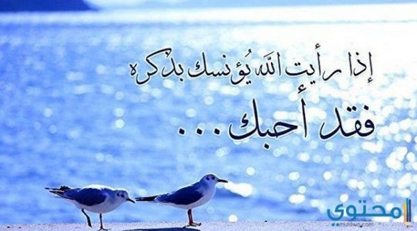 أقوال عن المحبة بين الناس