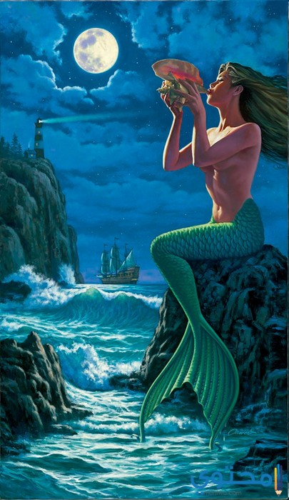 المواصفات الشكلية لبرج الحوت