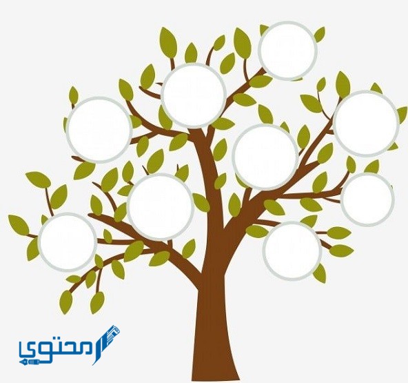 الهواجر وش يرجعون