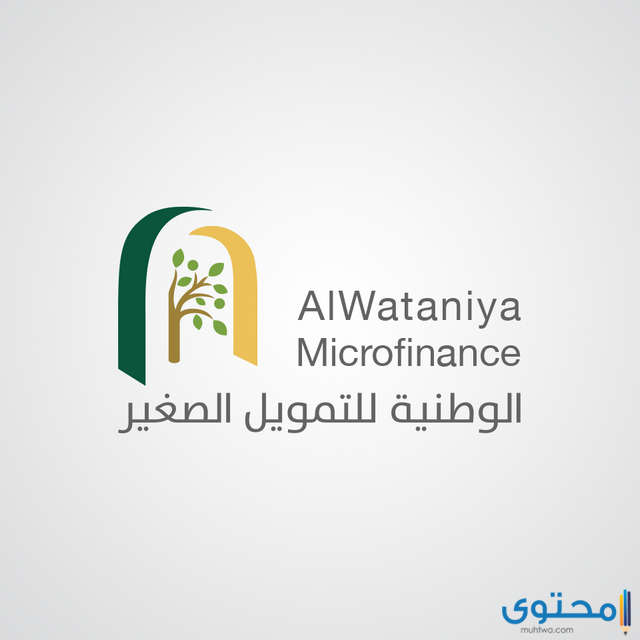 الوطنية للتمويل