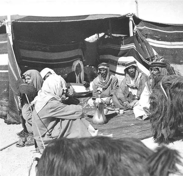 الوقداني وش يرجع