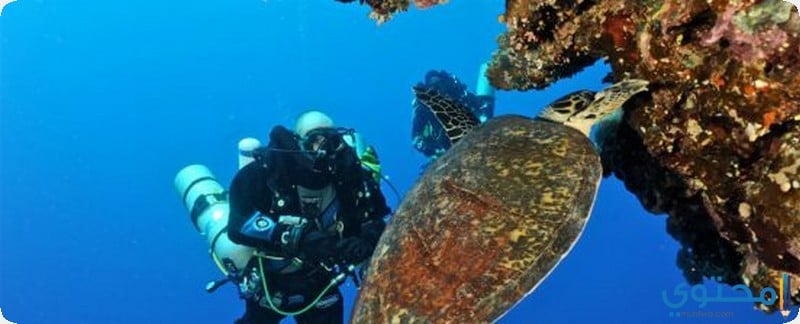 السياحة في راس شيطان