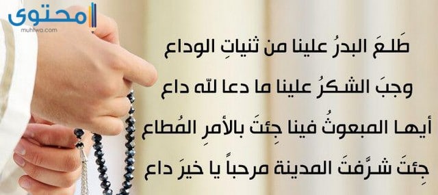 أناشيد المولد النبوي الشريف