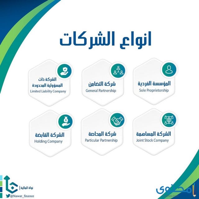 انواع الشركات المساهمة فى مصر
