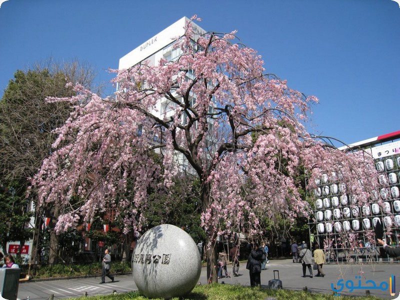 حدائق اليابان