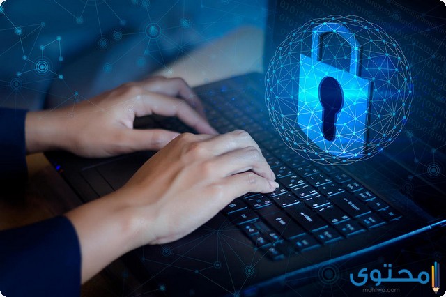 بحث عن المعلومات