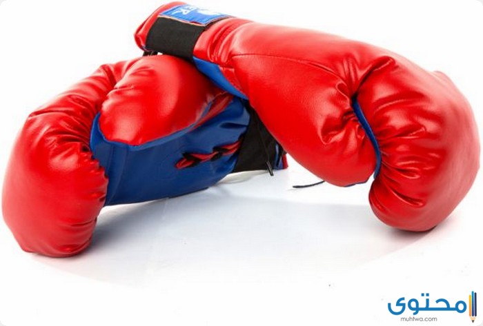 قفازات الملاكمة في المنام