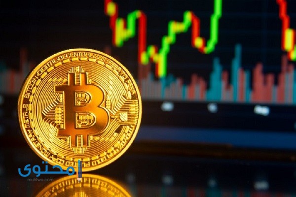 تاريخ عملة البيتكوين Bitcoin أهم وأشهر عملة رقمية