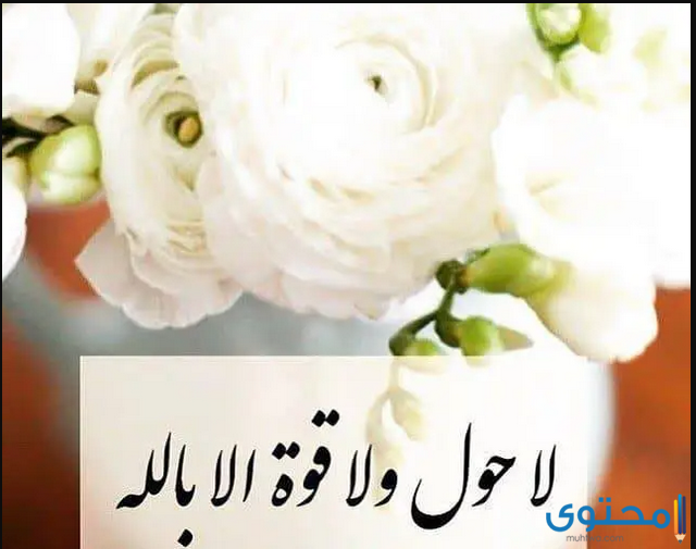 تجربتي مع الحوقلة