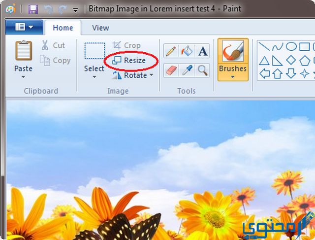 تحديد الحجم النهائي للصورة