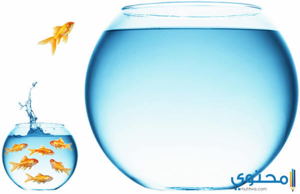 عبارات تحفيزية 2018