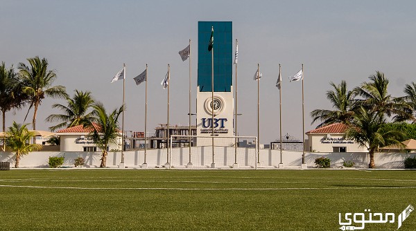 تخصصات جامعة الاعمال والتكنولوجيا