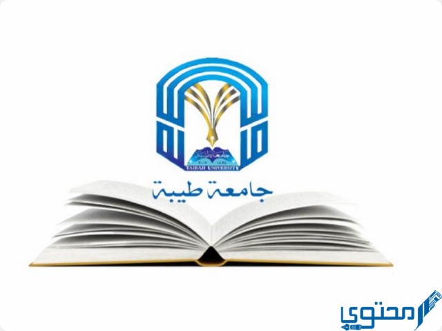 تخصصات جامعة طيبة