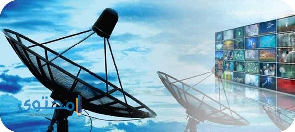 تردد قناة البيارق كيدز