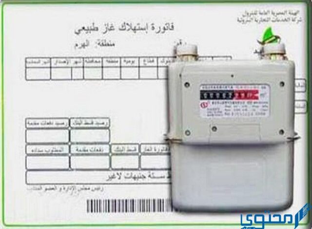 تسجيل قراءة عداد الغاز المنزلي 2025 عبر موقع بتروتريد