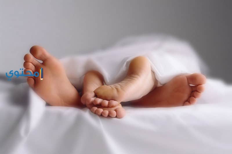 النكاح في المنام