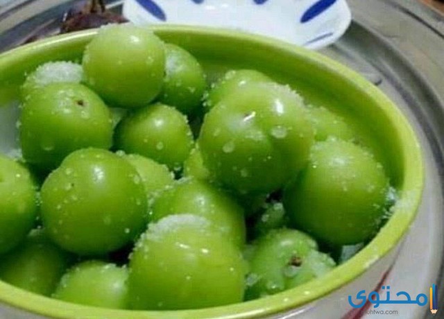 تفسير حلم رؤية الجانرك في المنام