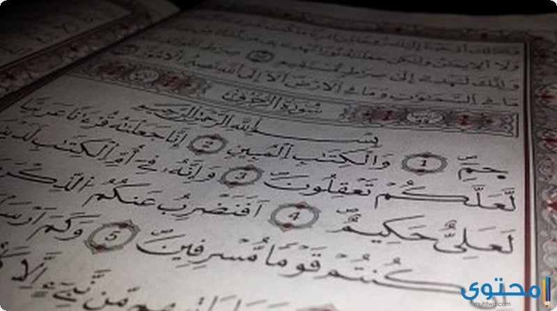 فضل تلاوة سورة الزخرف