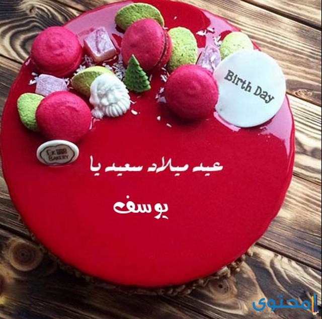 تهنئة عيد ميلاد باسم يوسف