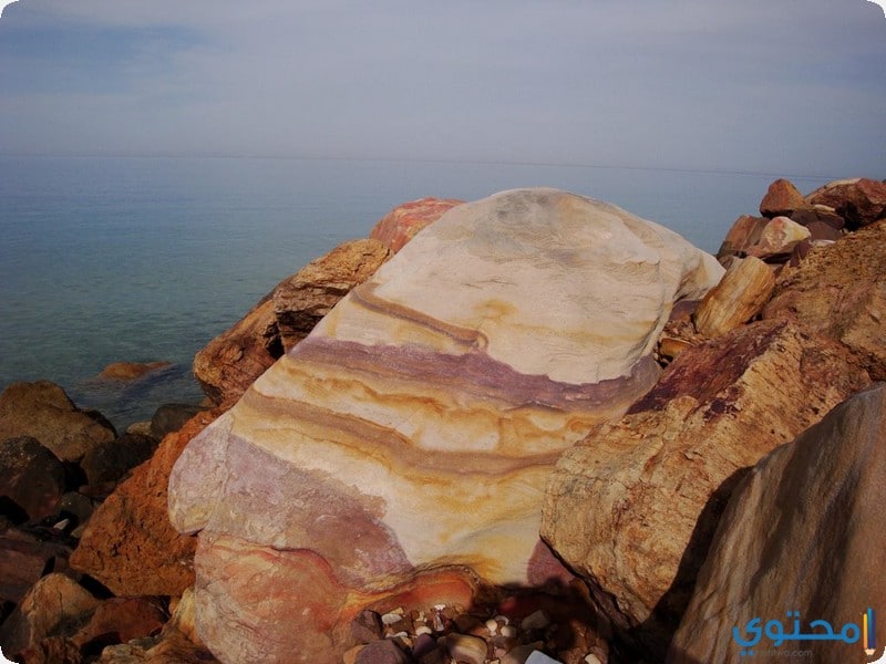 صور العين السخنة