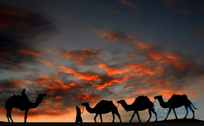 جميع أسماء قبائل الكويت