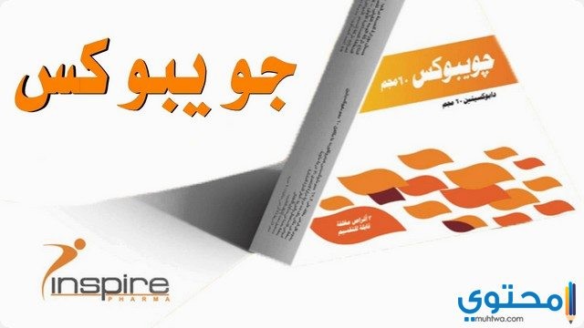 جويبوكس (joypox) دواعي الاستعمال والاثار الجانبية