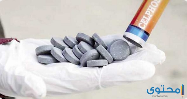 حبة الغلة السامة