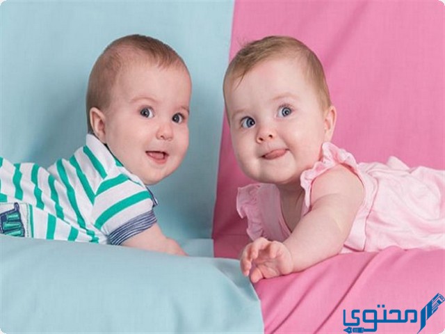 حساب نوع الجنين بالأرقام