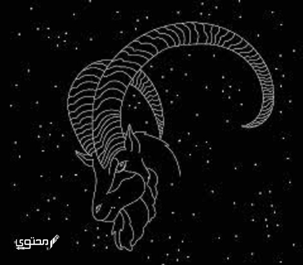 حظوظ برج الجدي في العمل 2025