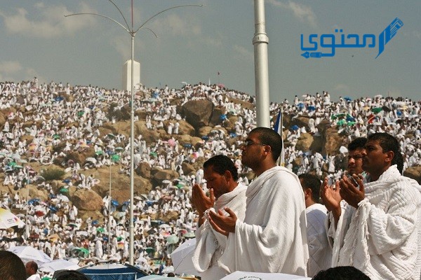 ما هو حكم صيام يوم عرفة يوم الجمعة