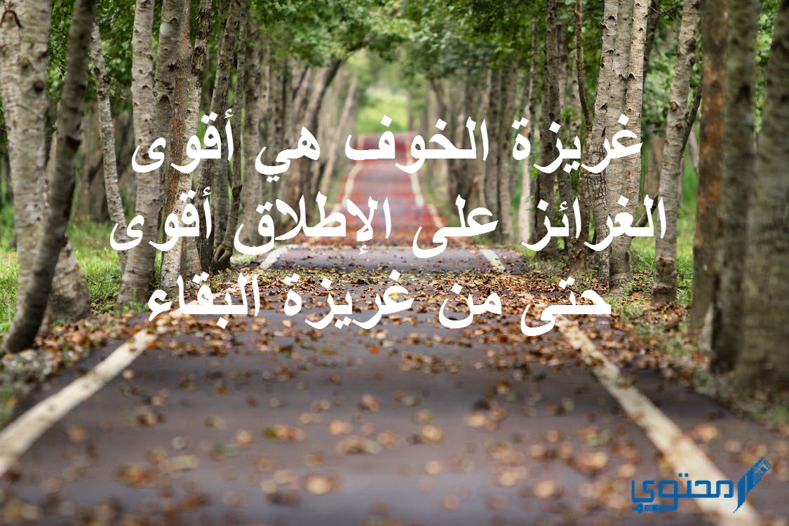 أقوال وحكم عن الخوف