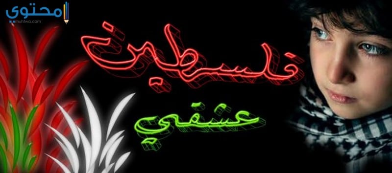 حكم عن فلسطين الحبيبة