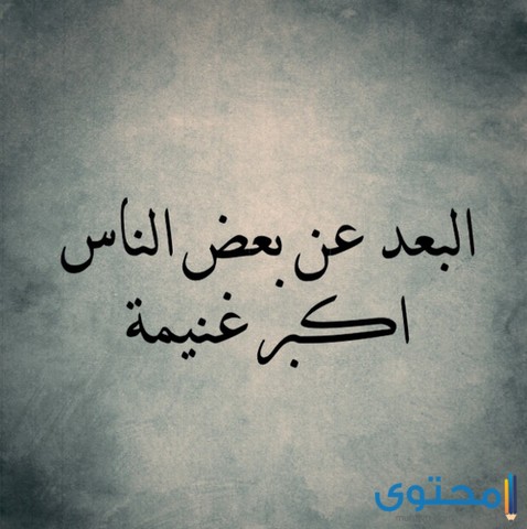 كلام عن الناس الحقيرة