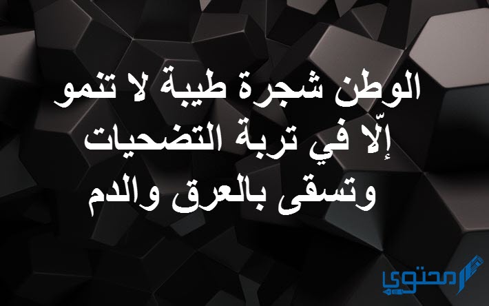 حكم واقوال عن الوطن