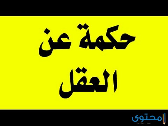 أقوال عن العقل