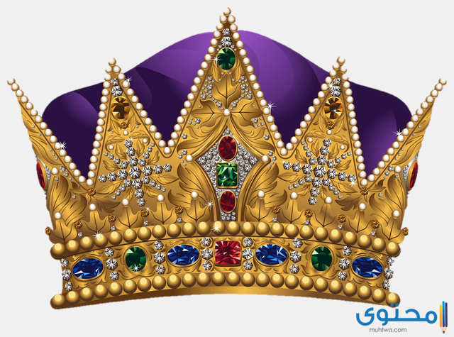 حلم زيارة الملك