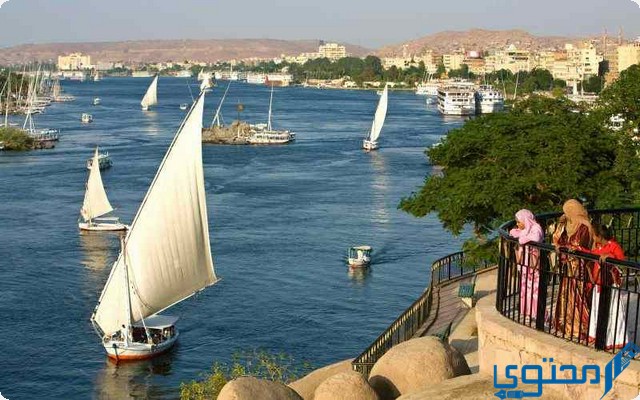 دور الطالب في حماية النيل من التلوث