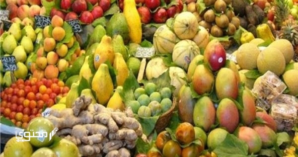 خطوات تصدير الفواكه من مصر 2025.. ومتطلبات التصدير