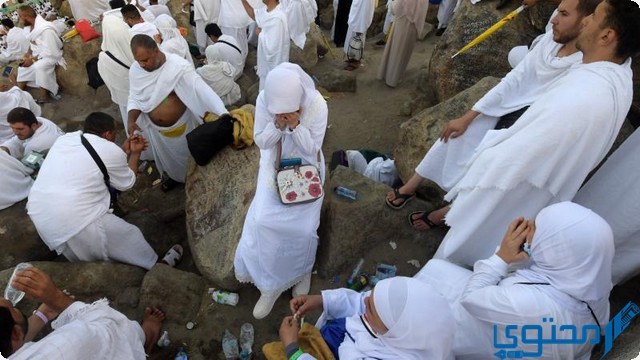 خطيب وإمام يوم عرفة