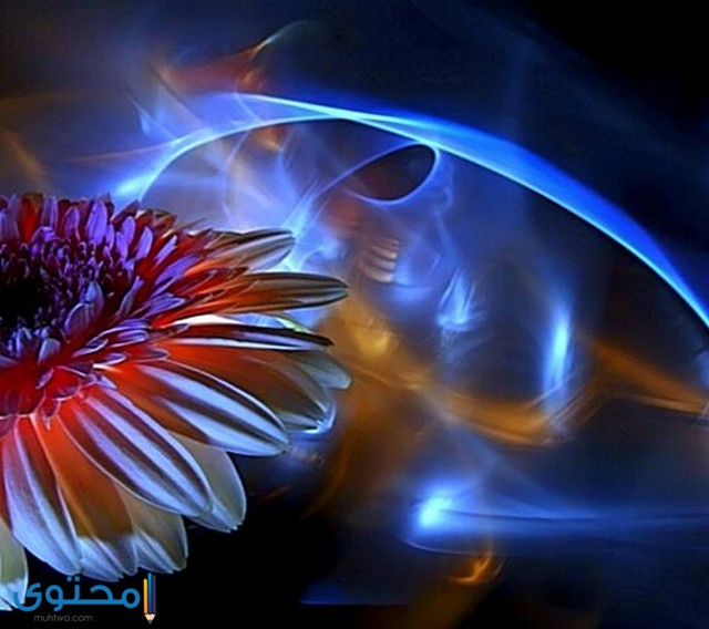 خلفيات مويايل