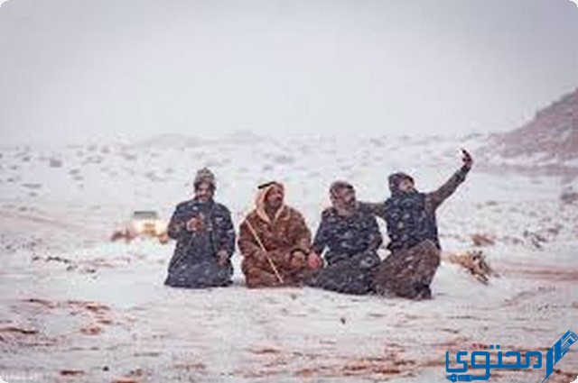 دخول الشبط 1444 العد التنازلي