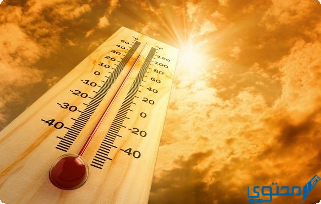 دخول مربعانية القيظ