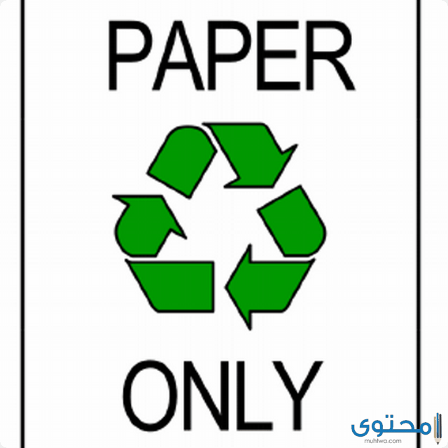 مشروع إعادة تدوير الورق