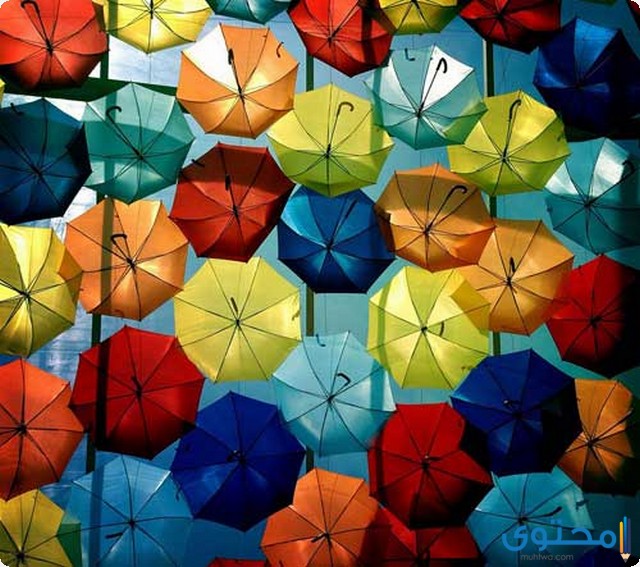 مشروع صناعة شمسية اليد